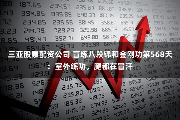 三亚股票配资公司 盲练八段锦和金刚功第568天：室外练功，腿都在冒汗